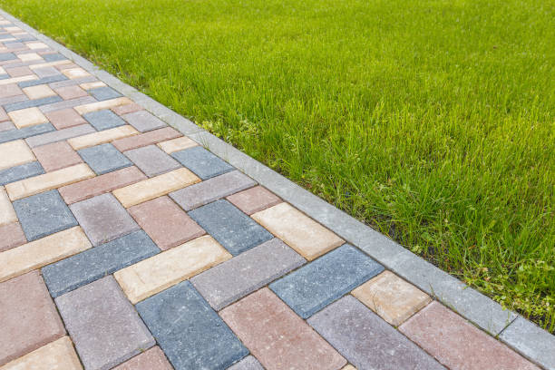 Best Affordable Driveway Paving  in Hernando, FL